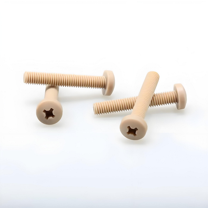 PEEK Cross-Recessed Round Head Screws (2)