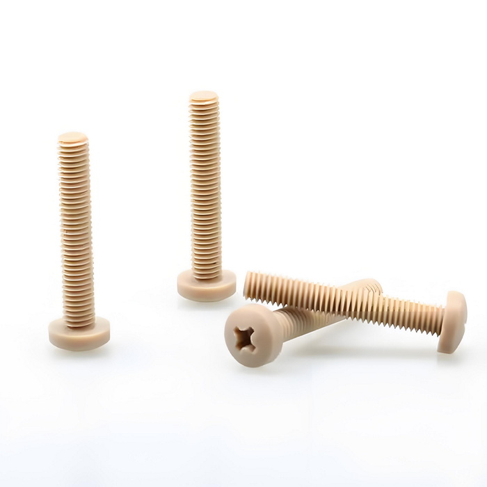 PEEK Cross-Recessed Round Head Screws (1)